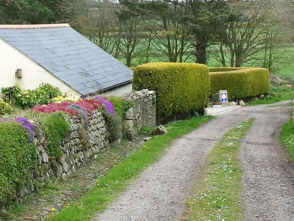 Bostrase B&B Hayle Zewnętrze zdjęcie