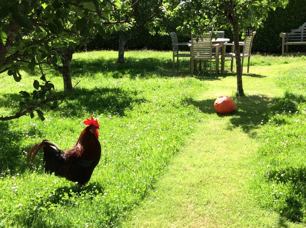 Bostrase B&B Hayle Zewnętrze zdjęcie